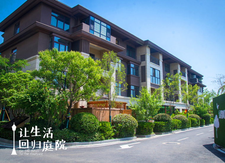 前后张望南阳50年：：：这样的庭院，很难再有了！！