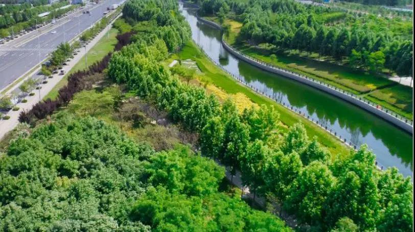 定了！！！“神兽”线上开学，家里有学生的必看！！！