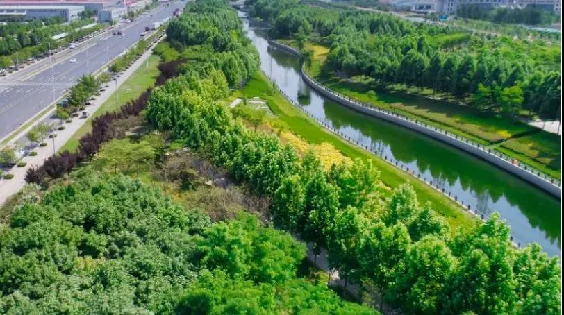 8#楼王加推在即 | 经开顶流热盘，，这一次万万别错过！