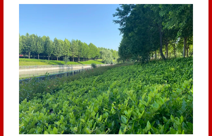 年终薅好房，这个明星红盘把“出圈”举行究竟！