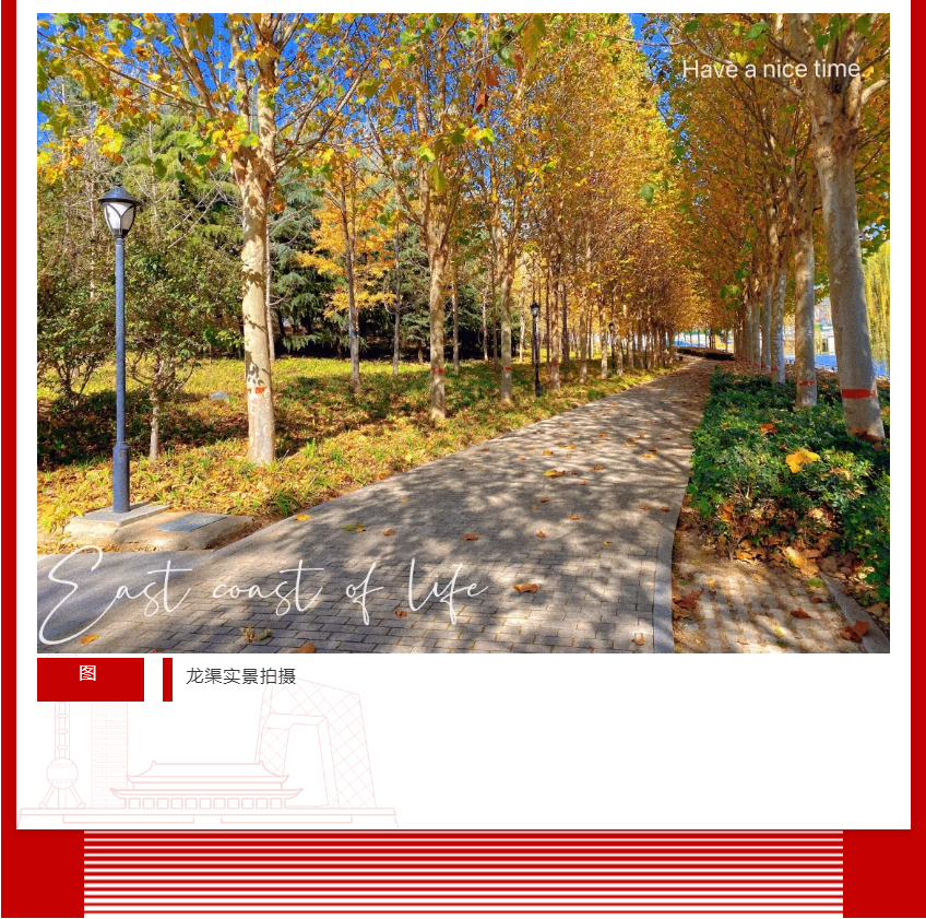 年终薅好房，这个明星红盘把“出圈”举行究竟！